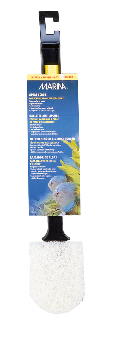 Marina Economy Algae Scrub-V