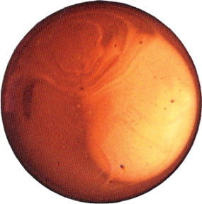 Μπάλες ενυδρείου Γυάλινες Amber 40mm