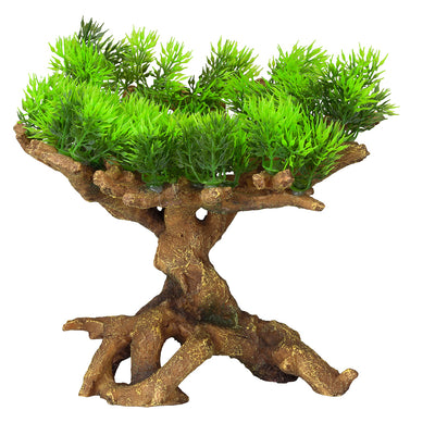 BONSAI MINI SORT B 9,5CM