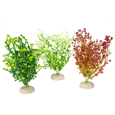 PLANT BACOPA M - height 25CM mixed colors
