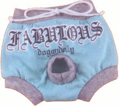 Βρακάκι Fabulous Turquiose DSR038 XS