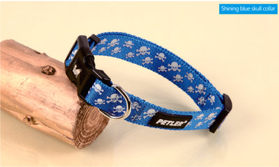 Περιλαίμιο Shining Blue Skull x-small 70811
