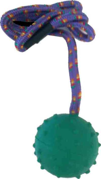 Μπάλα σε σχοίνι 47cm