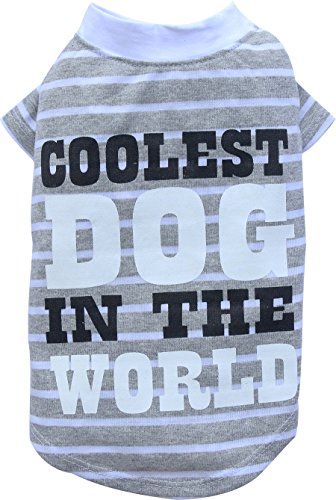 T-shirt Coolest dog grey XL Τ283