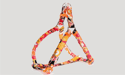 Σαμαράκι Flowery orange Ε-XS 76906