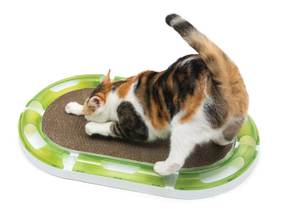 CA Senses 2.0 Oval Scratcher