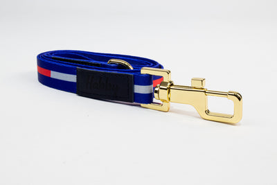 Οδηγός ML06 Medium/Large 682