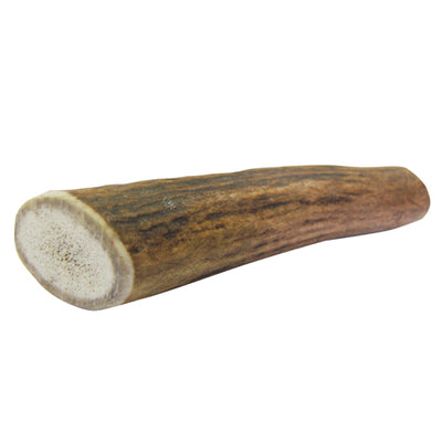 Κέρατο Ελαφιού Antler Dental small