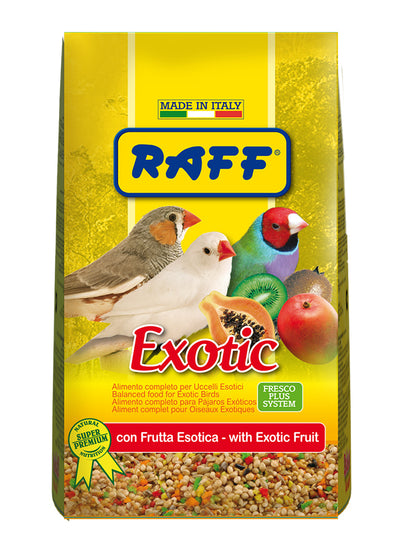 Exotic 500gr Raff
