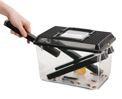 Exo Terra Cricket Den, Large