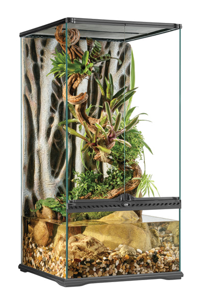 EX Glass Terrarium, 20cm X 20cm X 30cm