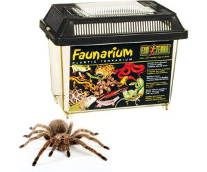 Exo Terra Faunarium, mini-V