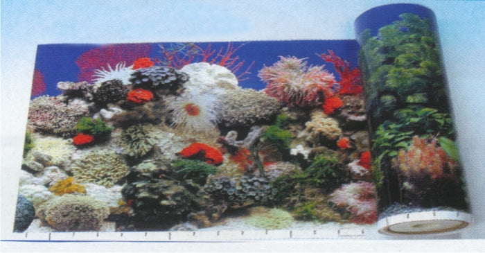 Αφίσα ενυδρείου (49cm)