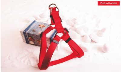 Σαμαράκι ιμάντας red small