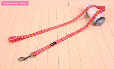 Οδηγός L6S Rainbow pink small 70721