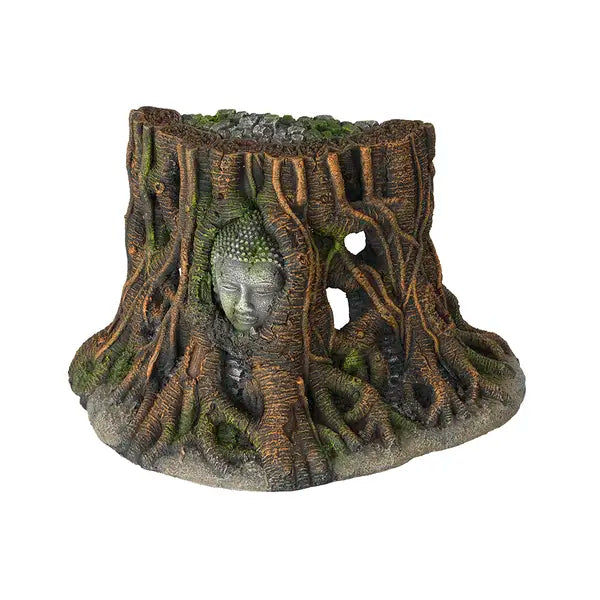 BUDDHA TREE THAILAND S - 25,5x14x15CM