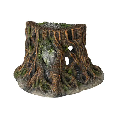 BUDDHA TREE THAILAND S - 25,5x14x15CM