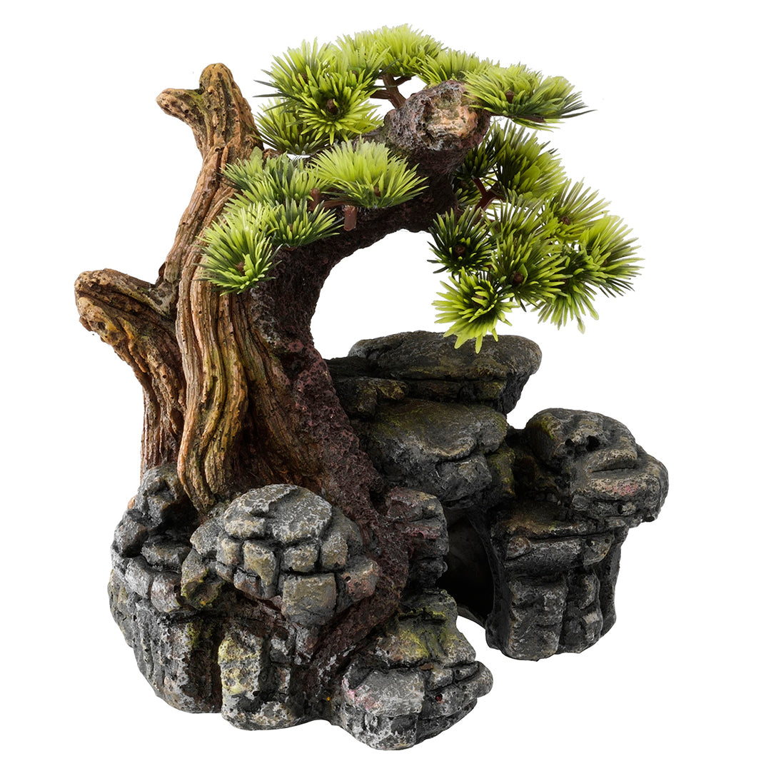 BONSAI SM - 16,5x16,5x18CM