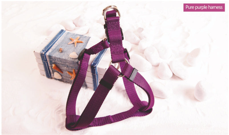 Σαμαράκι Η4Μ Pure purple medium 70654