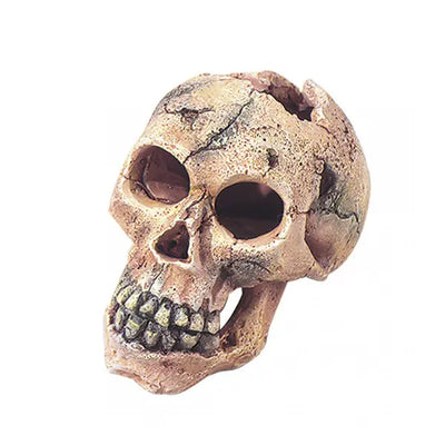 SKULL L - 15CM