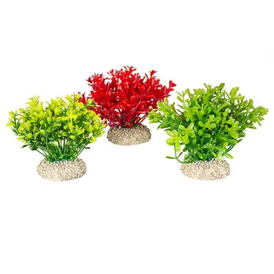 PLANT GLOSSO S - height 9CM mixed colors