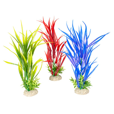 PLANT AMAZON SWORD M - height 30CM mixed colors