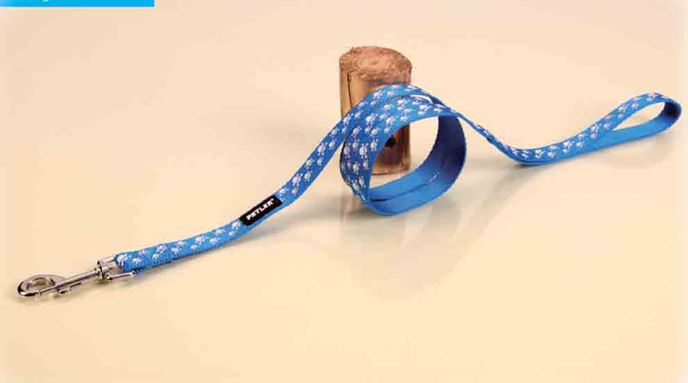 Οδηγός Shining Blue Skull medium-plus