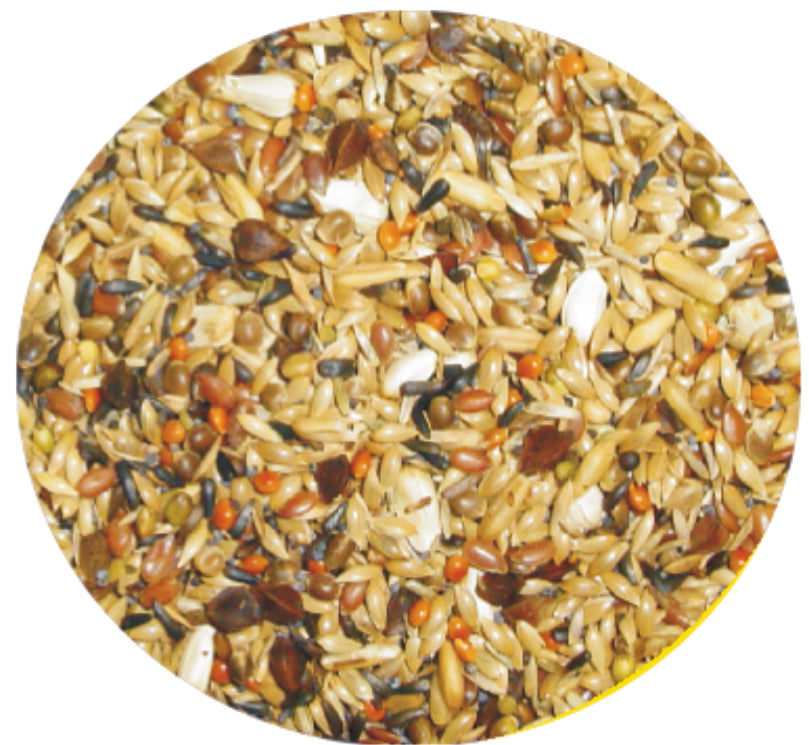 Τροφή Carduelis Rapeseed Free Professional