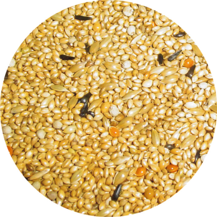 Τροφή Exotic Premium  Professional + 2KG ΔΩΡΟ