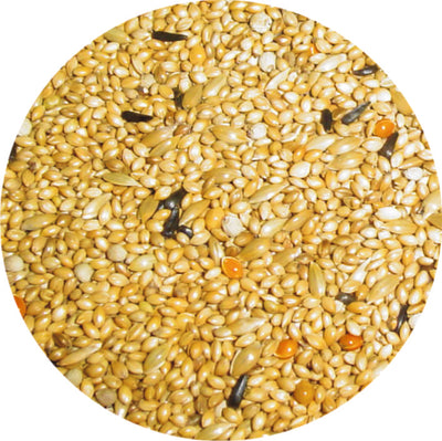Τροφή Exotic Premium  Professional + 2KG ΔΩΡΟ