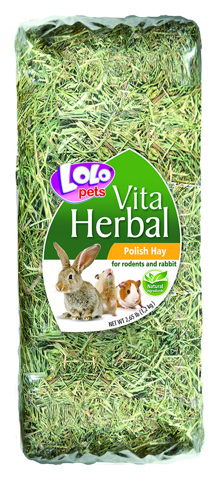 Χόρτο Τρωκτικών 500gr Lolopets 71047