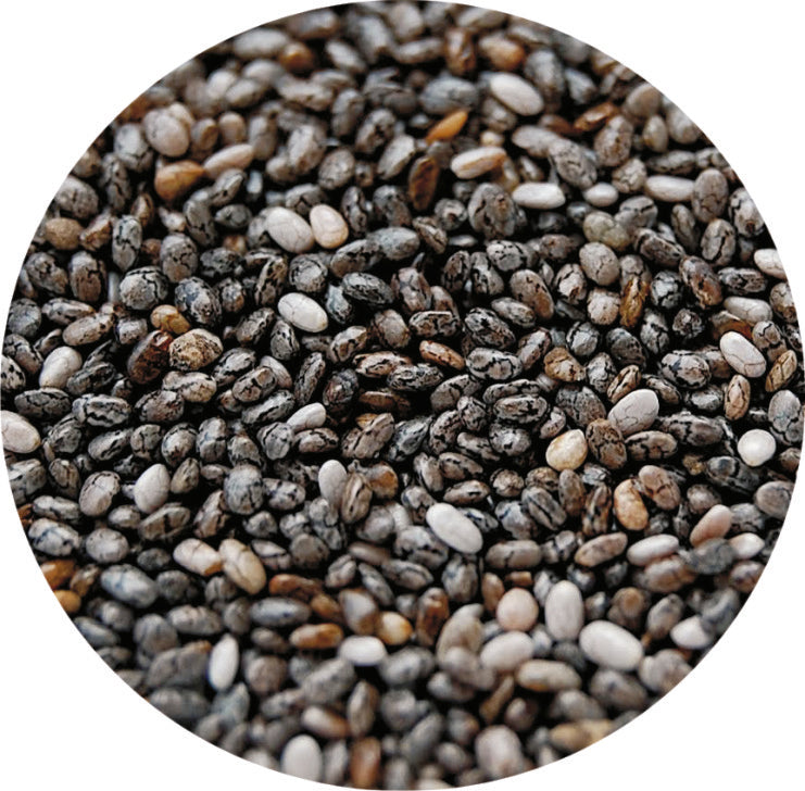 Σπόροι Κία- Chia seed