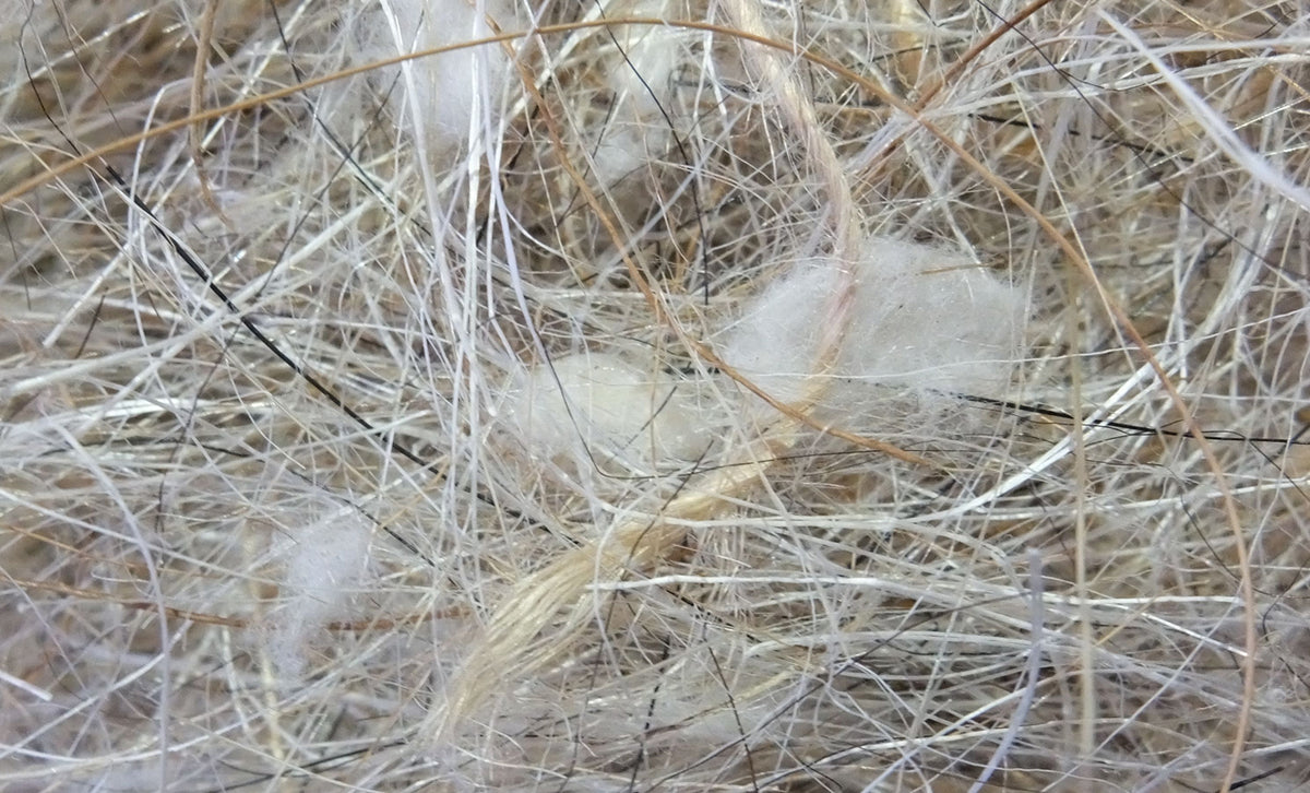 Mixed Animal-Vegetable 50g Sisal Fibre
