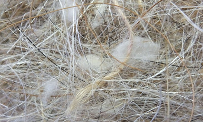 Mixed Animal-Vegetable 50g Sisal Fibre