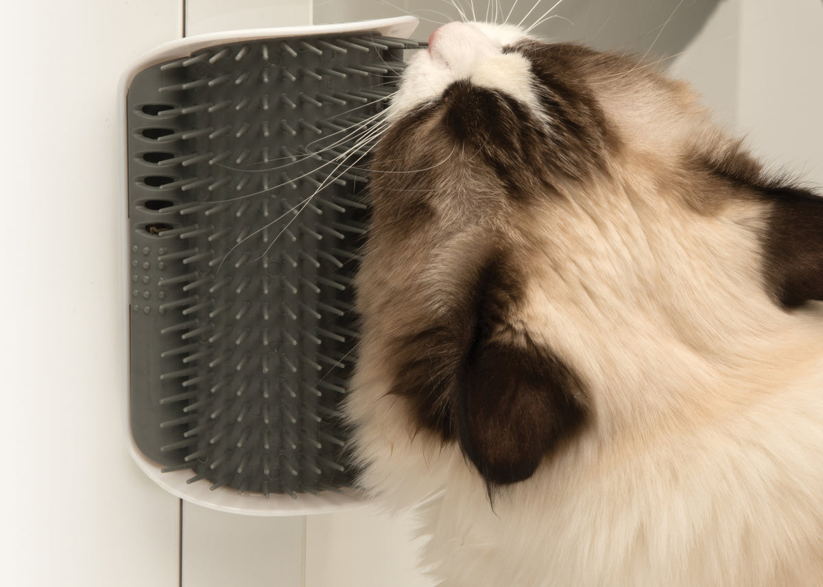 Catit Senses 2.0 Self Groomer
