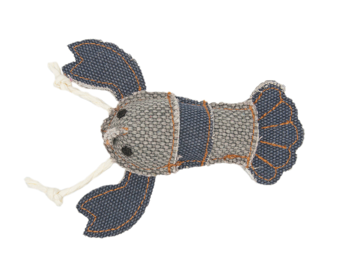 King Lobster Barry King