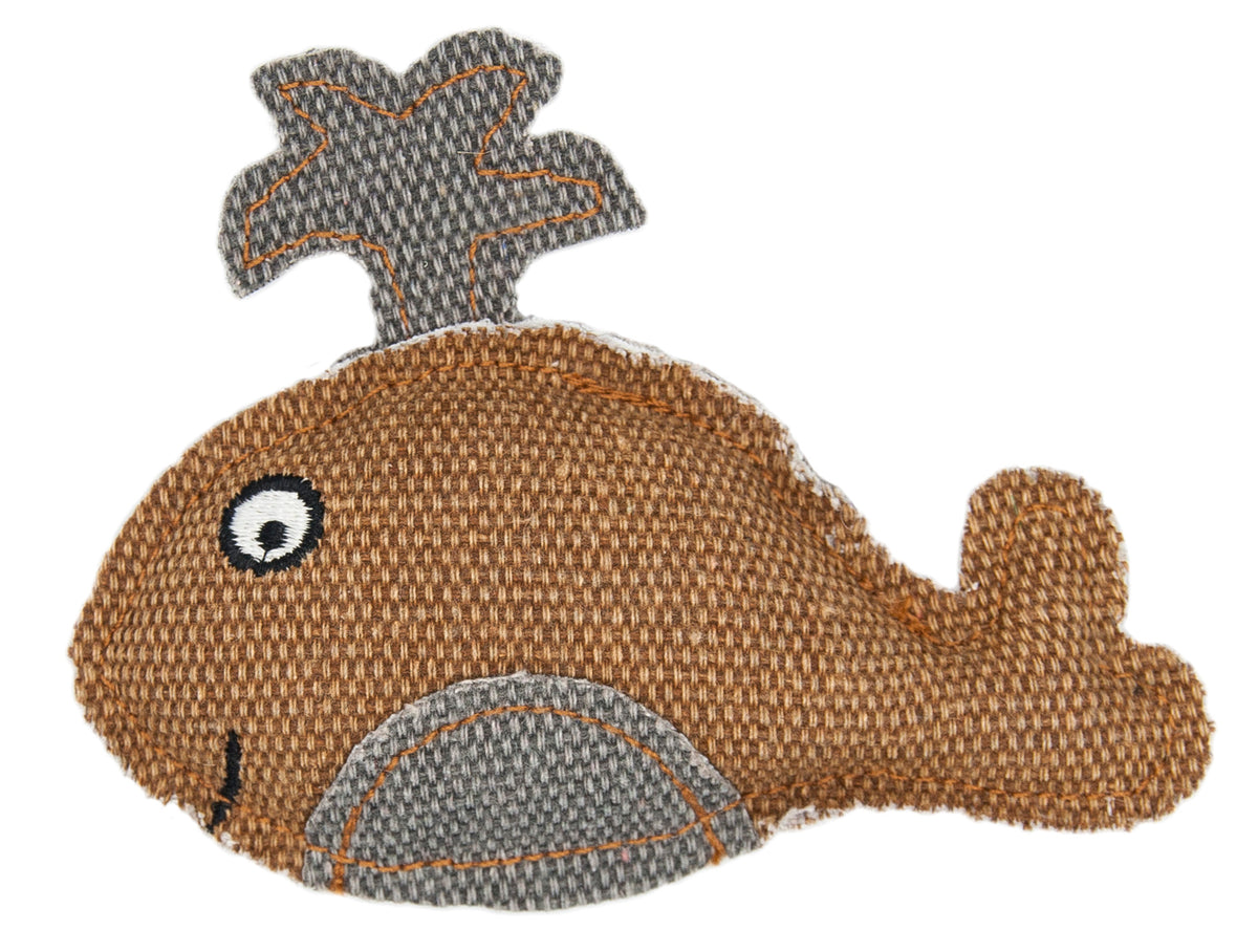 King Whale Barry King
