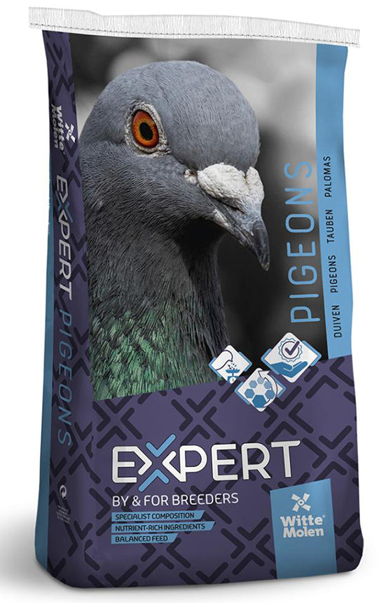 Expert Pigeon food 4 seasons Witte molen