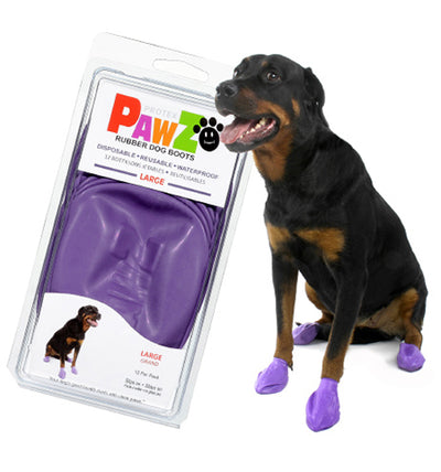 Παπουτσάκια purple large