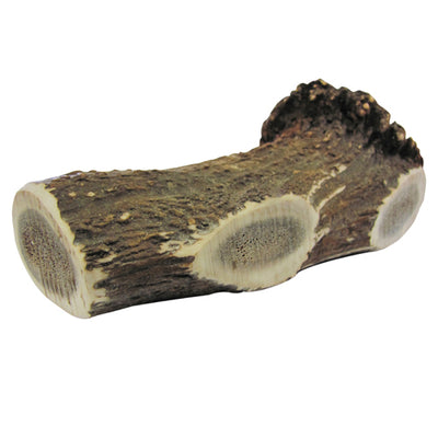 Κέρατο Ελαφιού Antler Dental large
