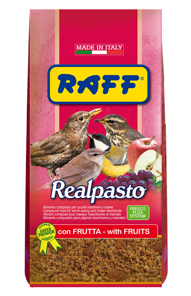 Μαινοτροφή Realpasto 1kg Raff