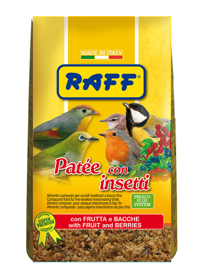 Μαινοτροφή patee con insetti  400gr Raff