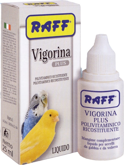 Vigorina Plus Πολυβιταμίνη 25ml Raff