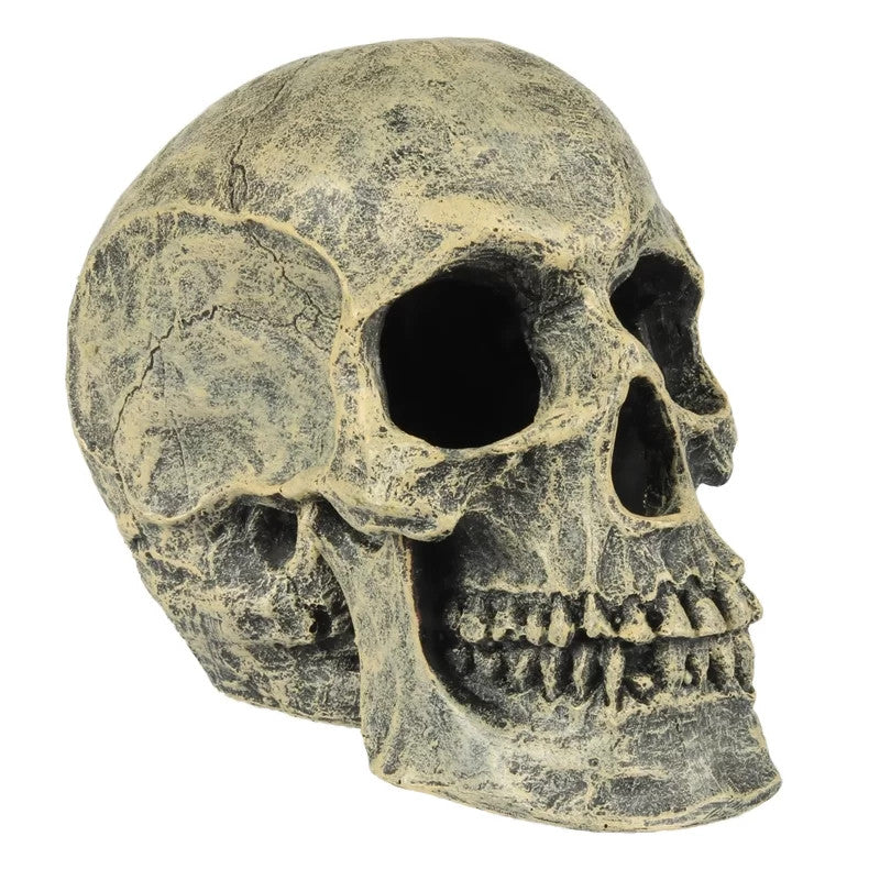 Skull Head 16x10,5x13,2CM