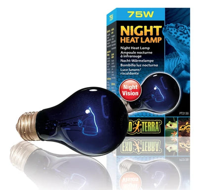 Exo Terra Night Glo Bulb 75W-V
