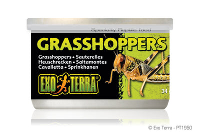 ExoTerra Wild Male Sml.GrHoppers 1.2oz-V