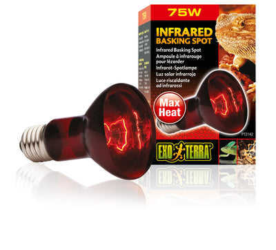 Heat Glo infrared Lamp 75W-V