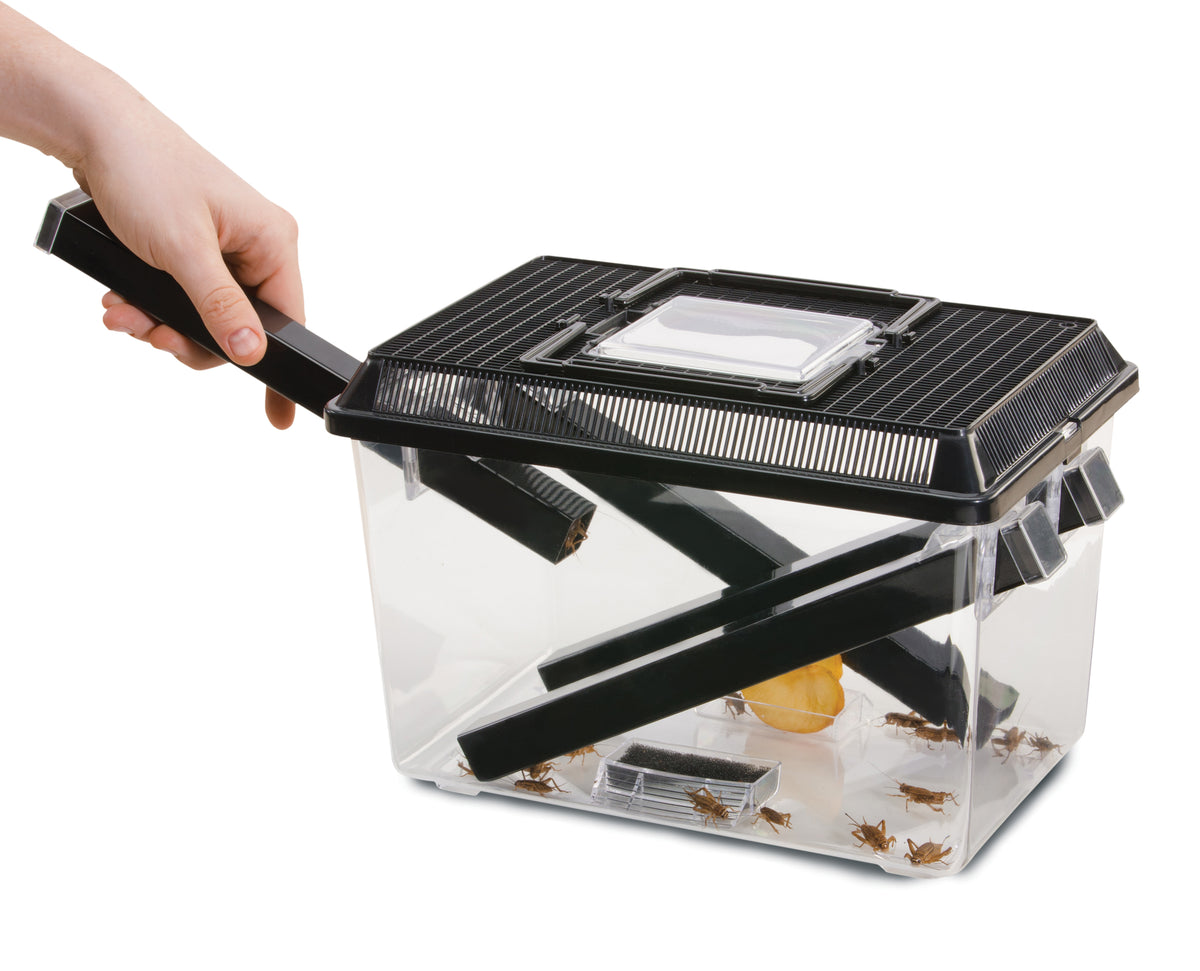 Exo Terra Cricket Den, Large