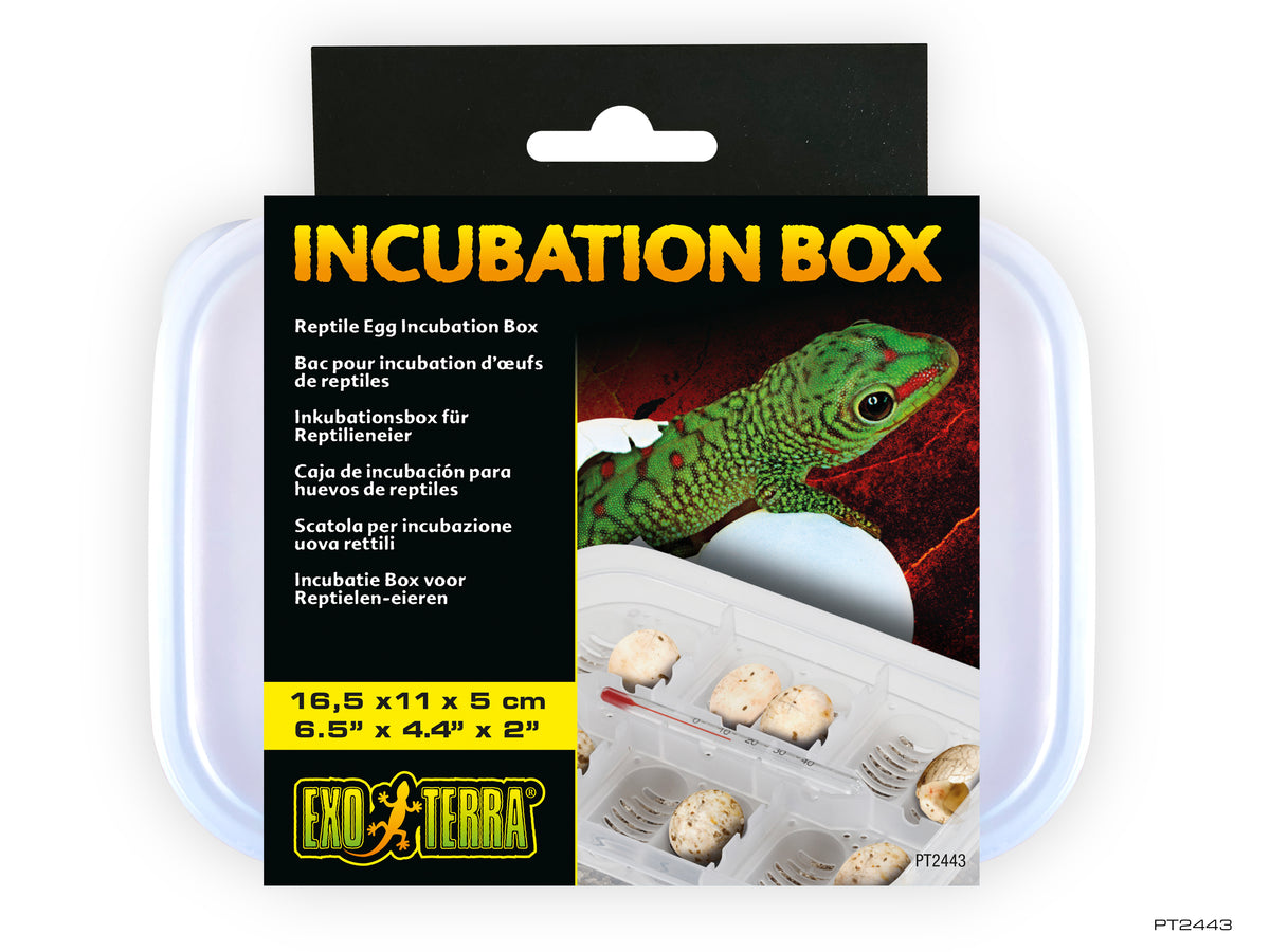 Incubation Box