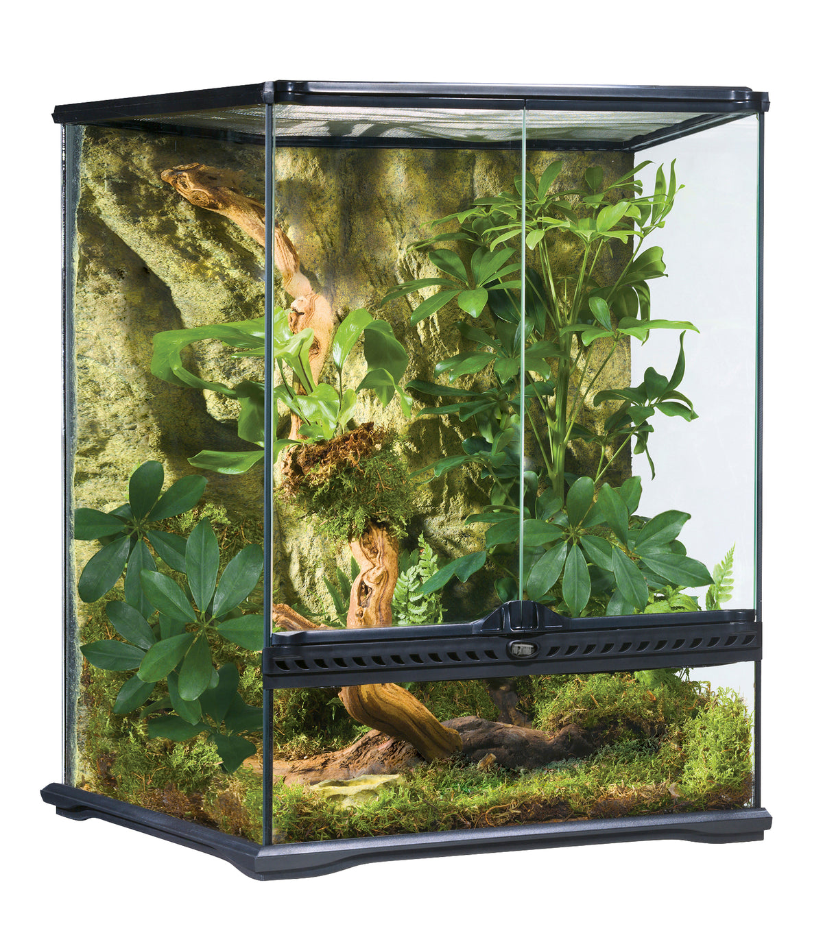 Exo Terra All Glass Terrar., L45xW60cm-V